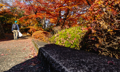 もみじ寺　茨城県