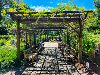 Sandhills Horticultural Gardens, Pinehurst, North Carolina, USA