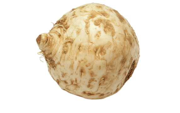A whole raw celery root on white background,png