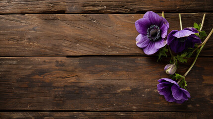 Beautiful purple anemone flowers arranged on rustic wooden planks create serene and natural atmosphere, perfect for floral arrangements or home decor