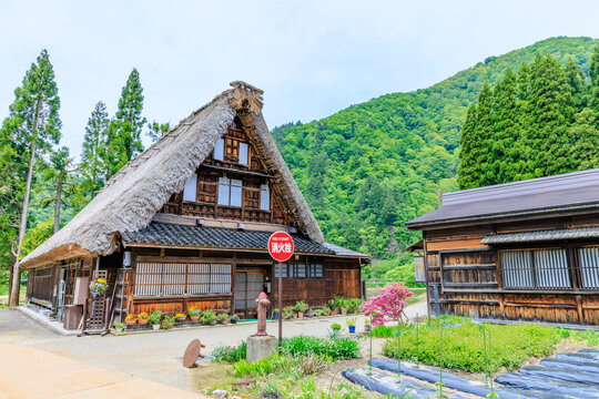 初夏の菅沼合掌造り集落　五箇山　富山県南砺市　Suganuma Gassho-style Village in early summer. Gokayama. Toyama Pref, Nanto City.