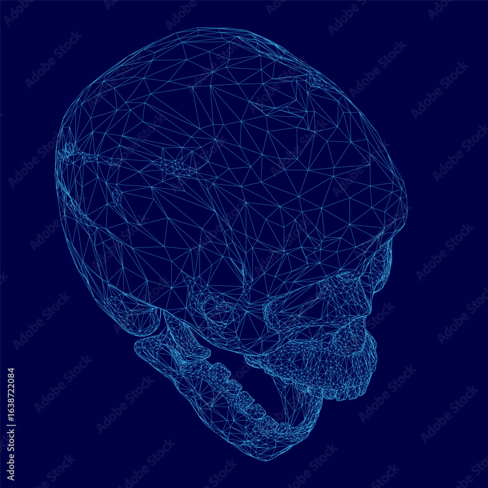 Poster a wireframe blueprint of a human skull displays intricate anatomical details with clean lines and ge