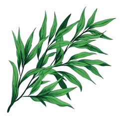 Fototapeta premium Lush green foliage branch illustration