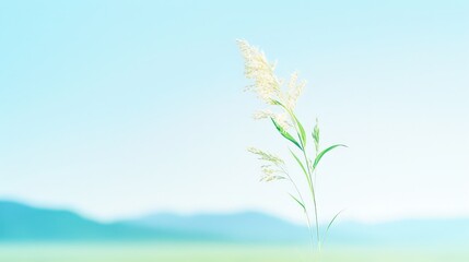 Minimalist silhouette of Rhodes grass seed head on th