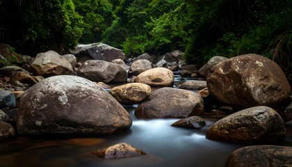 Smooth rocks, flowing water, lush forest