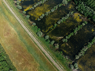 Aerial drone view of Danube floodplain forest near Belgrade in summertime, wetlands and trees...
