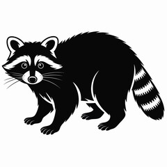 Black and white illustration of a raccoon standing on a white background