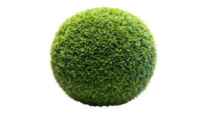 green grass ball