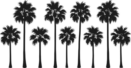 Black palm tree silhouettes set, tropical nature collection, exotic summer plants, beach vacation trees, isolated tropical palms, summer landscape background