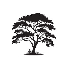 Obraz premium Elegant Acacia Tree Silhouette – Black Vector on White.