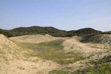 Taean Sinduri Coastline in South Korea