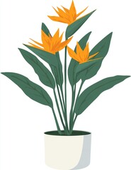 Vibrant orange flowers in a cream pot, with lush green leaves