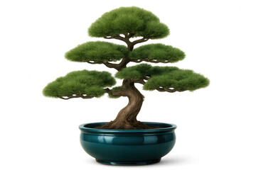 Obraz premium Gnarled bonsai trunk displaying dense green foliage, growing in traditional ceramic container, symbolizing zen harmony against clean transparent backdrop