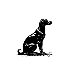 Elegant black labrador retriever portrait with expressive eyes in digital art style