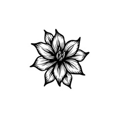 Elegant floral illustration with delicate petals in black and white monochrome tone