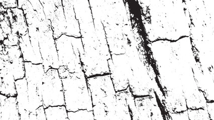 Distressed Black White Tree Bark Grunge Texture Background
