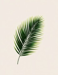 Fototapeta premium Single palm leaf, vibrant green with light yellow highlights, against a neutral backdrop