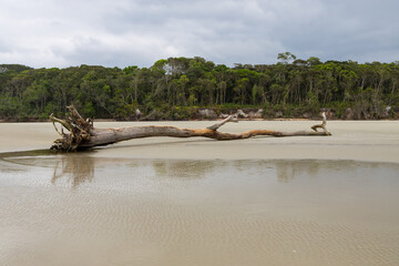 paradisiac beach in Bertioga São Paulo, with cloudy sky a beautiful and calm place.