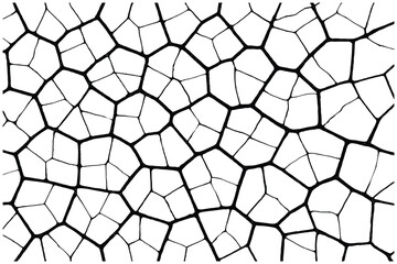 Obraz premium Abstract Voronoi Pattern Black and White Irregular Cell Structure Vector Illustration
