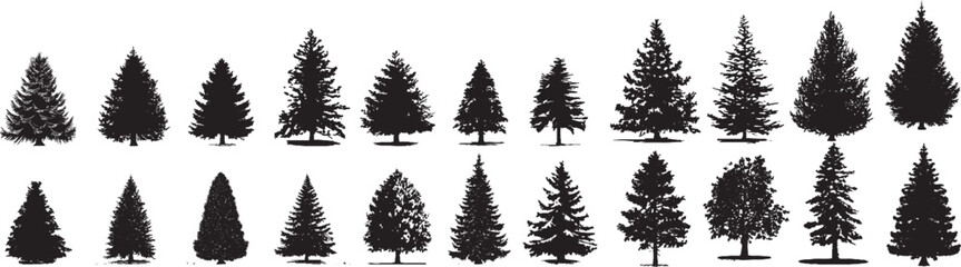 Pine tree silhouettes. Evergreen forest firs and spruces black shapes, wild nature trees templates. Vector illustration silhouette tree set
