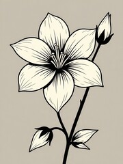 Vector.white lily flower