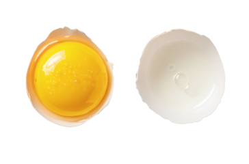 Close-up of cracked eggshell with vibrant yellow yolk and clear white, showcasing fresh ingredients for cooking.
