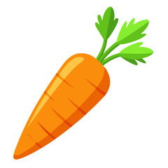 carrot vector illustration