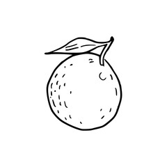 simple hand-drawn orange illustration