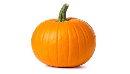 Obraz premium A vibrant orange pumpkin, small and round, sits on a white background