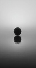 A grayscale image of a dark sphere resting on still water.  The sphere's reflection is clearly visible in the water.  Soft, muted tones dominate the scene