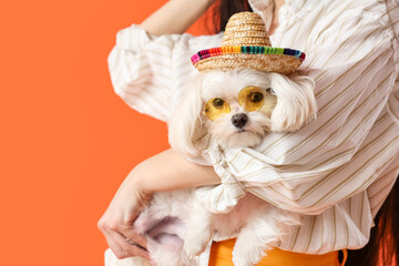 Young woman holding her adorable Bolognese dog in hat on orange background