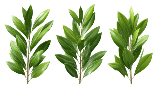 A close up macro photograph of three vibrant green leaves uniquely adorned with intricate patterns of blue and yellow spots creating a beautiful natural abstract design.