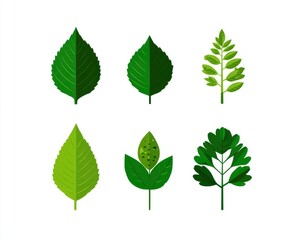 Six stylized green leaves.  Various shapes and shades of green.  Flat design.  Botanical illustration
