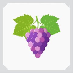 Vector illustration of a bunch of grapes, purple and green variants, clean minimal style