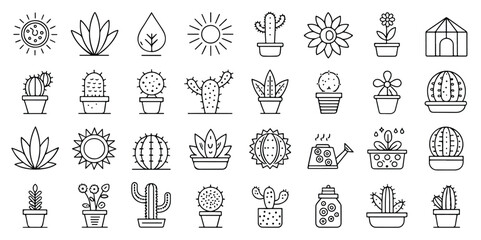 Variety of Succulents and Cacti Line Art for Botanical and Desert Themes Ideal for Education and Design Projects