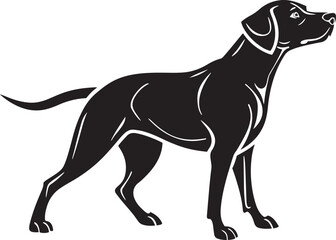 Black silhouette of a pointer dog standing canine animal