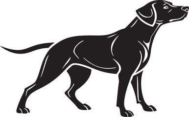 Black silhouette of a pointer dog standing canine animal
