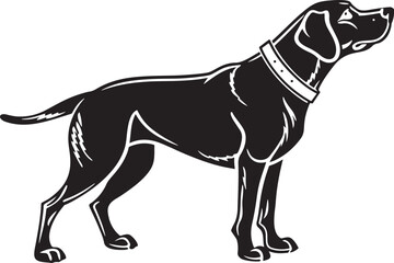 Black silhouette of a pointer dog with collar standing