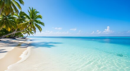 tropical beach with palm trees  on Tropical Beach with White Sand and Palm Trees in 8K