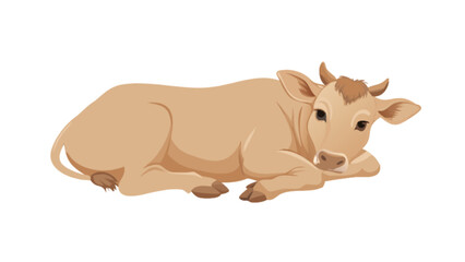 Obraz premium A light brown cow lying down with its head resting on its front legs in a relaxed position on white