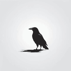 vector illustration of crow 