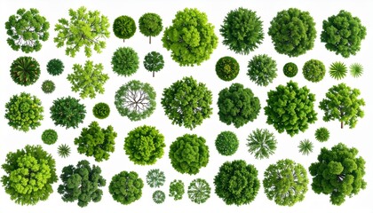 Vector set. Trees top view. Different plants and trees vector set for architectural