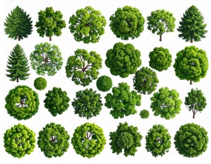 Vector set. Trees top view. Different plants and trees vector set for architectural