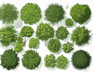 Vector set. Trees top view. Different plants and trees vector set for architectural