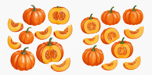 A collection of illustrated orange pumpkins, whole, cut in half, and in slices, isolated on a transparent background.