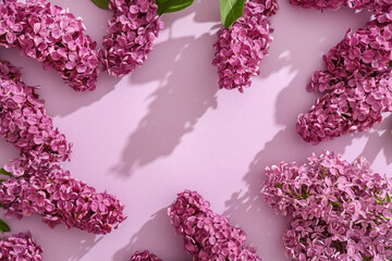 Frame made of blooming lilac flowers on color background