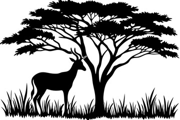 Serene silhouette of a wild antelope resting in the shade of a large acacia tree on the African savanna