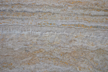 Polished Stone with Copper Veins and Silver.