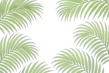 Tropical palm leaves creating a natural frame on a transparent background, perfect for summer or travel themed designs