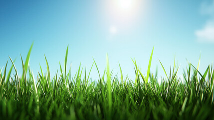 Fototapeta premium Fresh Green Grass Under Bright Blue Sky on Sunny Day
